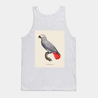 African Grey Parrot Antique Naturalist Illustration Tank Top